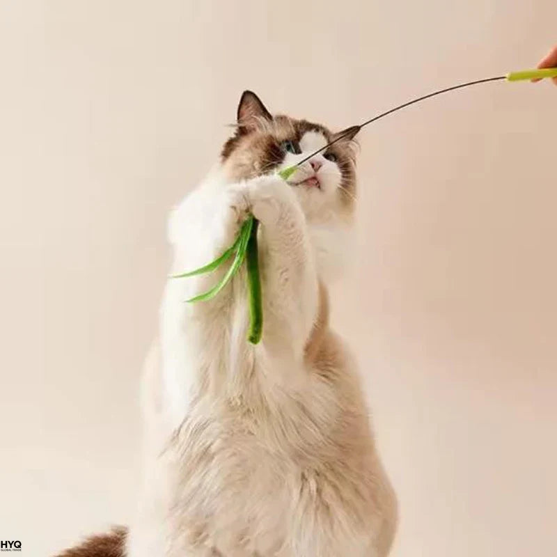 Juguetes Para Gatos Varilla Flexible Plumas Y Hierba Mascotas