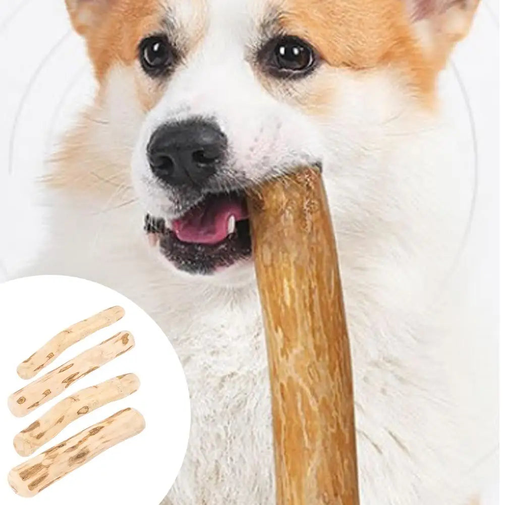 Natural Coffee Wood Dog Chew Sticks – Dental & Safe