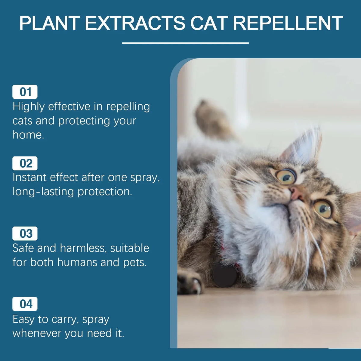YEGBONG Cat Deterrent Spray – Anti-Scratch Training Aid 100ml