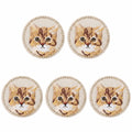 5pcs Cat Iron-On Embroidered Patches | DIY Clothes Appliqués