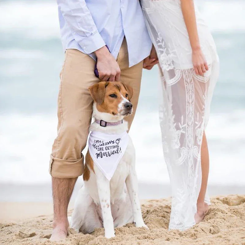 My Humans Are Getting Married Dog Bandana | Wedding Pet Scarf