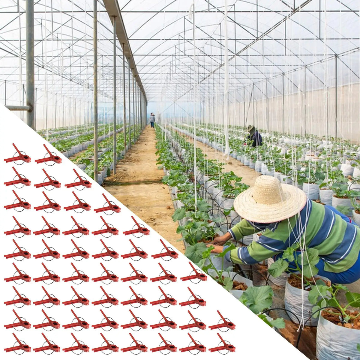 50-Pack Plant Grafting Clips | Vegetable Garden Grafting Tool