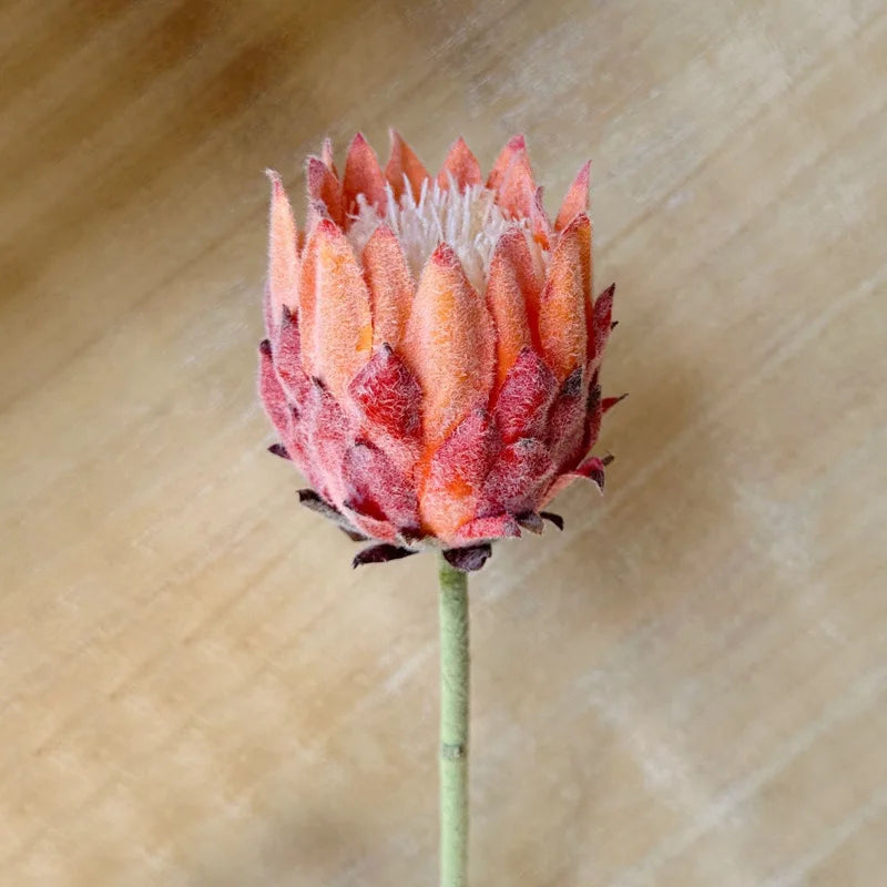 Europe Beautiful Artificial Flowers Fake King Protea Home Table