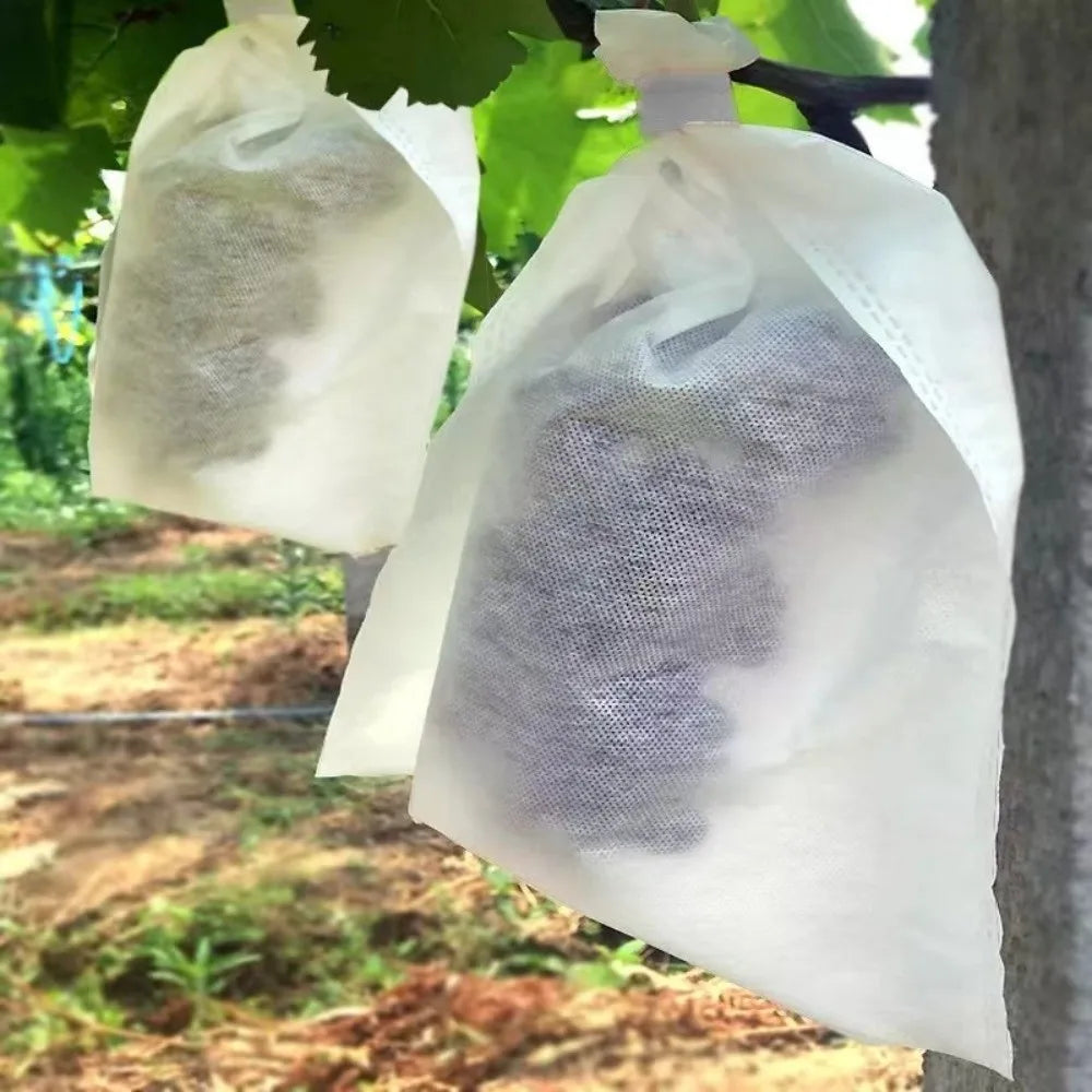 100-Pack Non-Woven Fruit Protection Bags | Breathable Garden Mesh