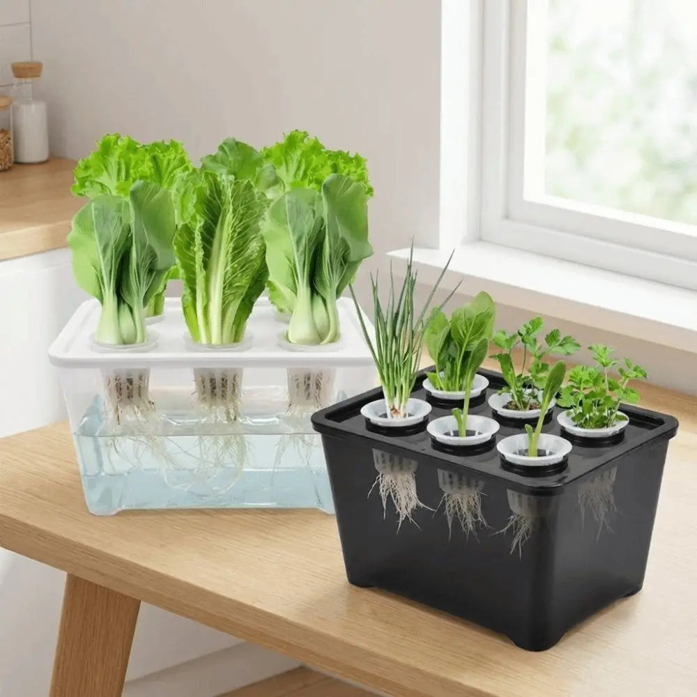 6-Hole Hydroponic Grower Kit | Self-Watering Indoor Herb Garden