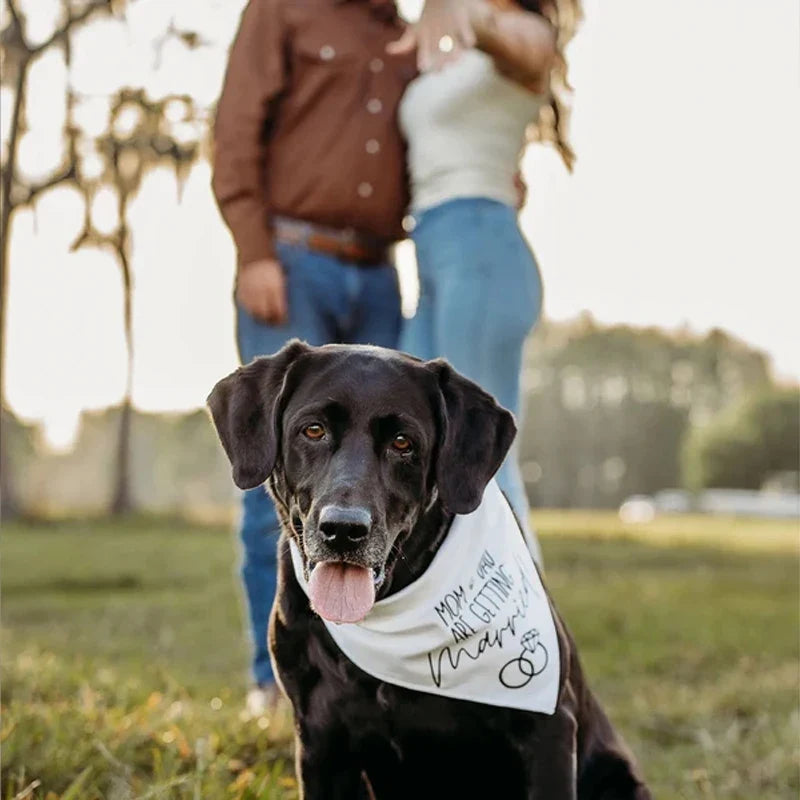 Dog Wedding Bandana – Mom & Dad Are Getting Married Pet Scarf