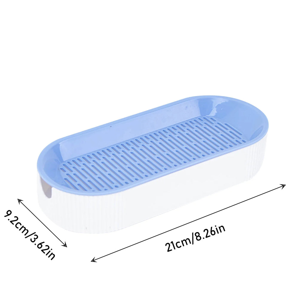 Soilless Cat Grass Hydroponic Growing Kit | Seed Tray Set