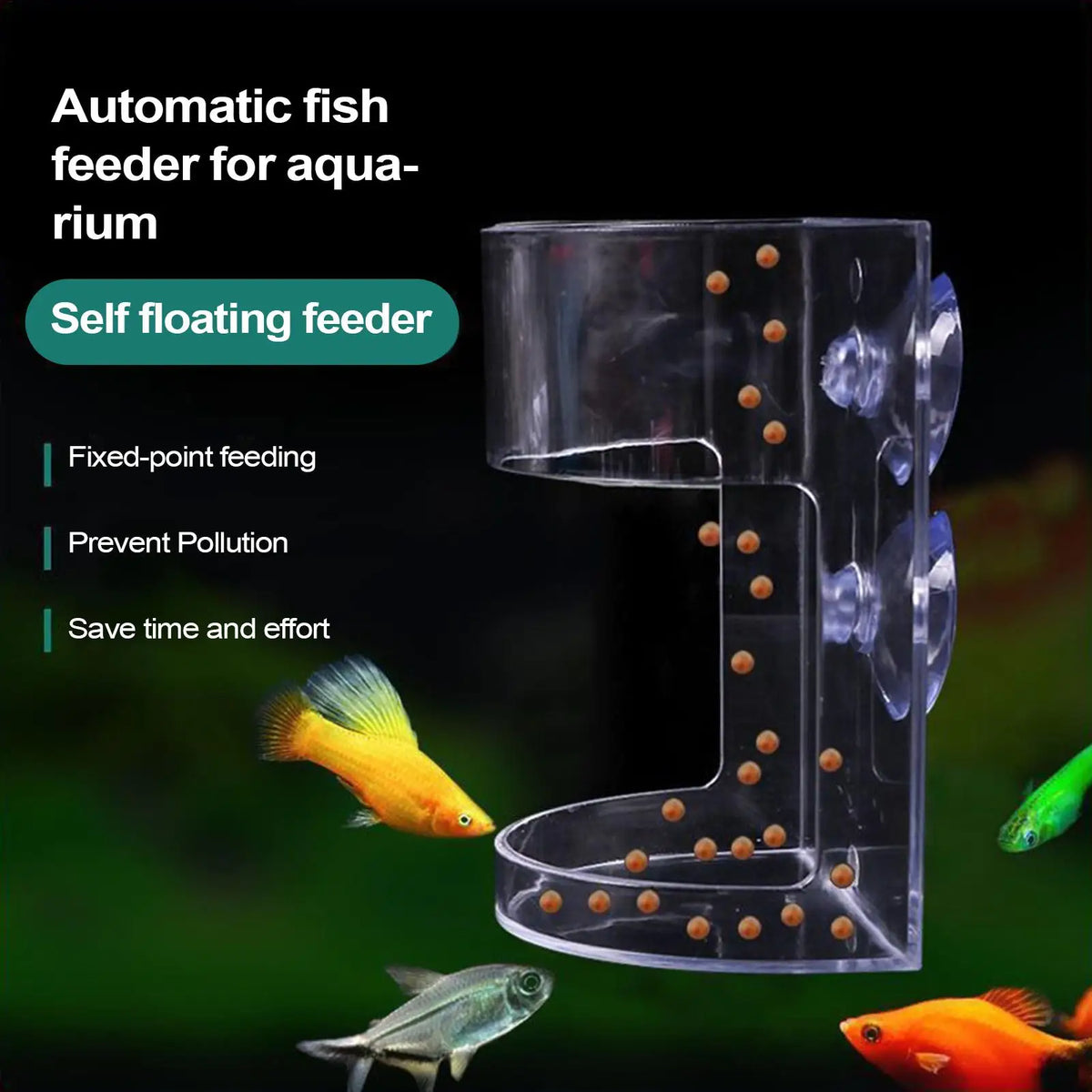 Fish Food Dispenser Transparent Feeding Dish Large Capacity