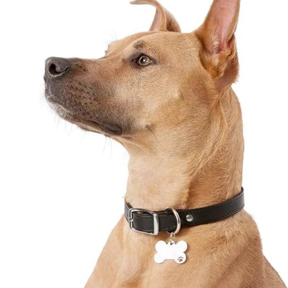 Personalized Bone-Style Stainless Steel Dog Name Tag | Pet ID
