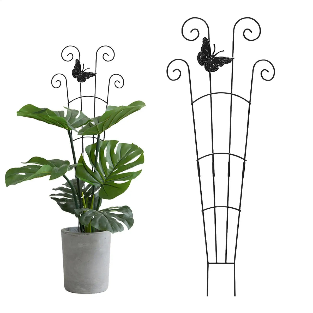 Climbing Plant Trellis 76cm – Garden Vine & Flower Support