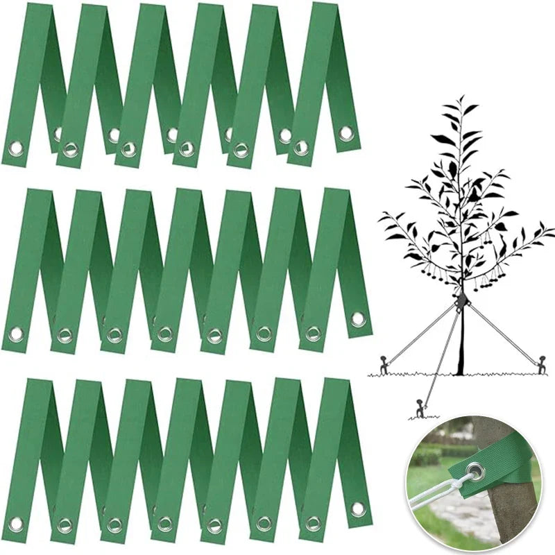 Tree Staking Straps for Saplings & Hurricane Protection – Green