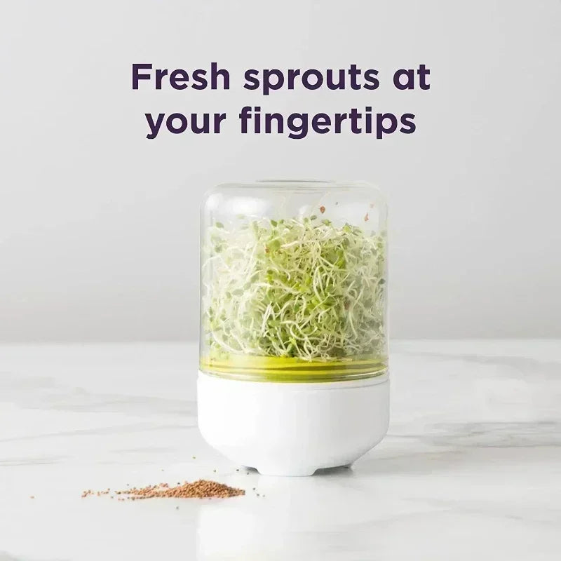 Countertop Sprouting Jar Kit – Borosilicate Glass Sprout Grower