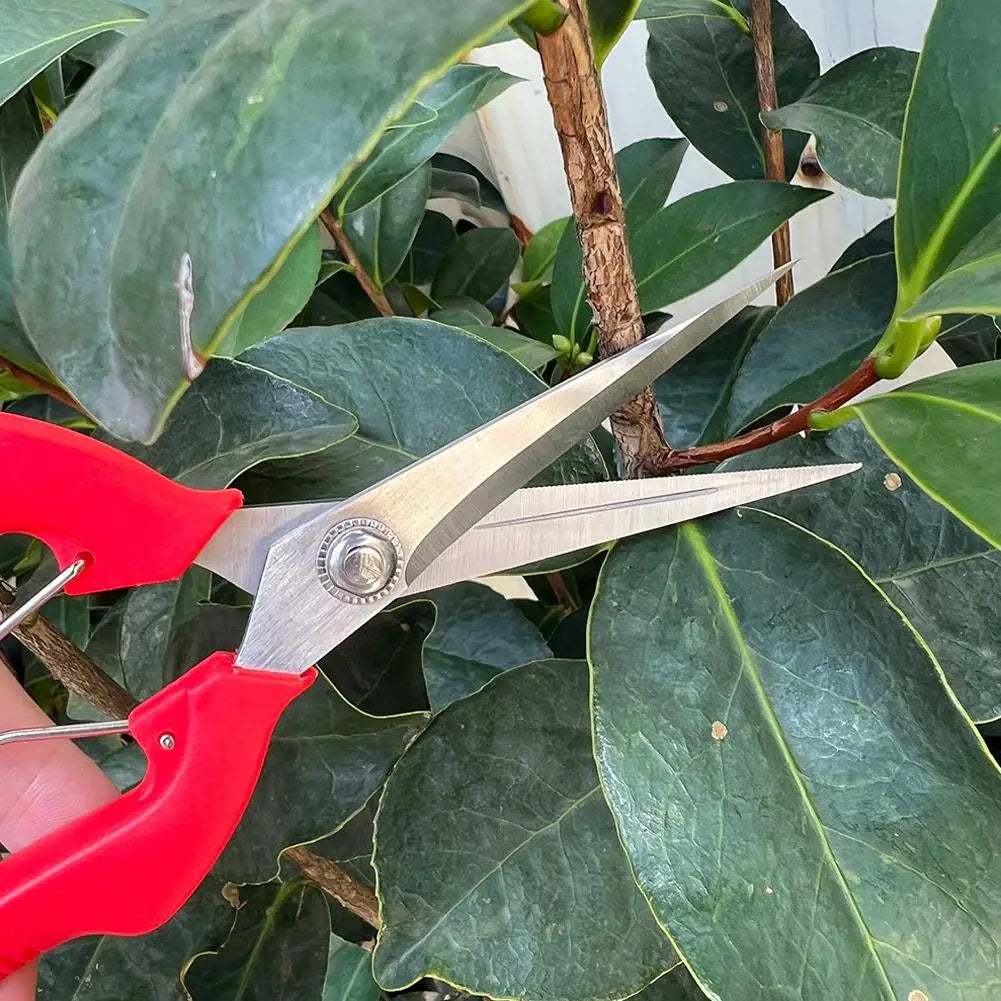 Stainless Steel Fruit Picking Pruning Shears | Garden Scissors