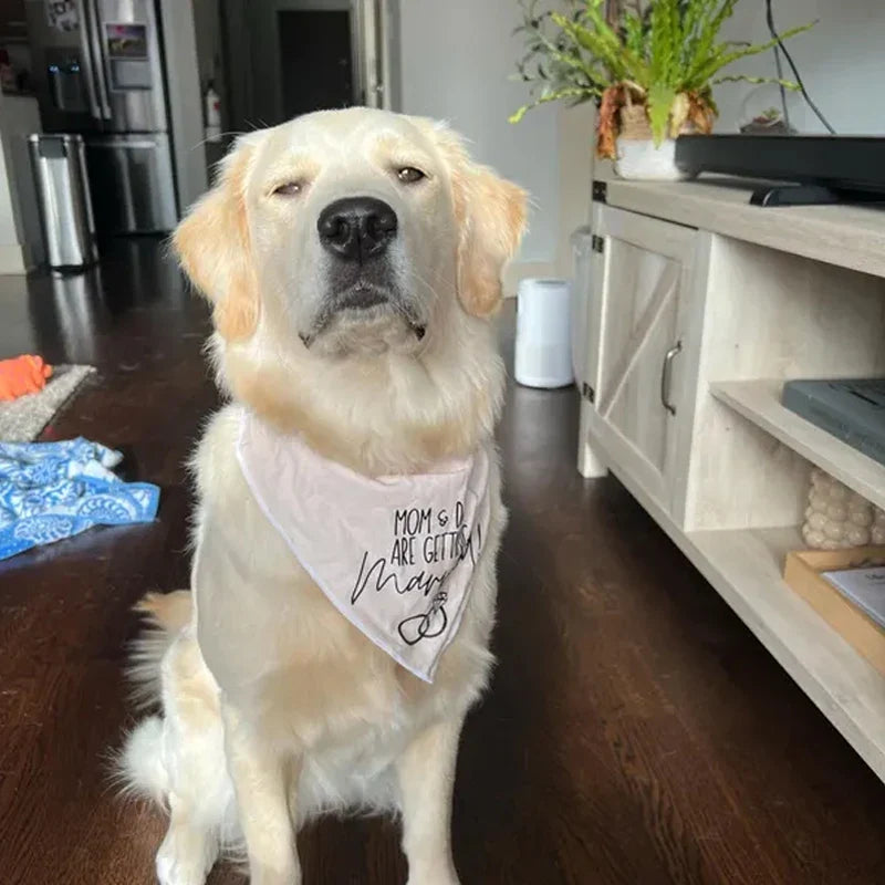 Dog Wedding Bandana – Mom & Dad Are Getting Married Pet Scarf