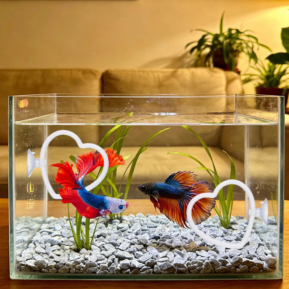 Betta Fish Exercise Rings & Filter Balls | Interactive Aquarium Toy