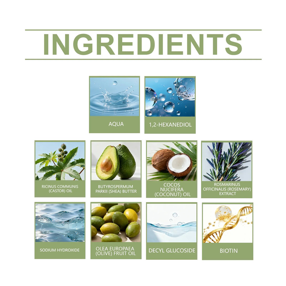 Rosemary Shampoo Bar – Moisturizing, Volumizing Daily Cleanse