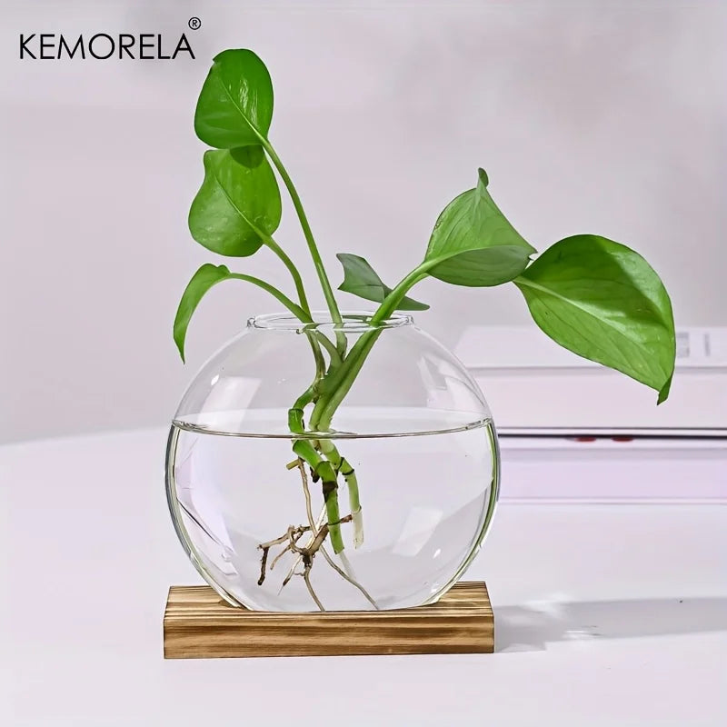 Hydroponic Glass Planter with Wood Stand | Desk Decor Vase