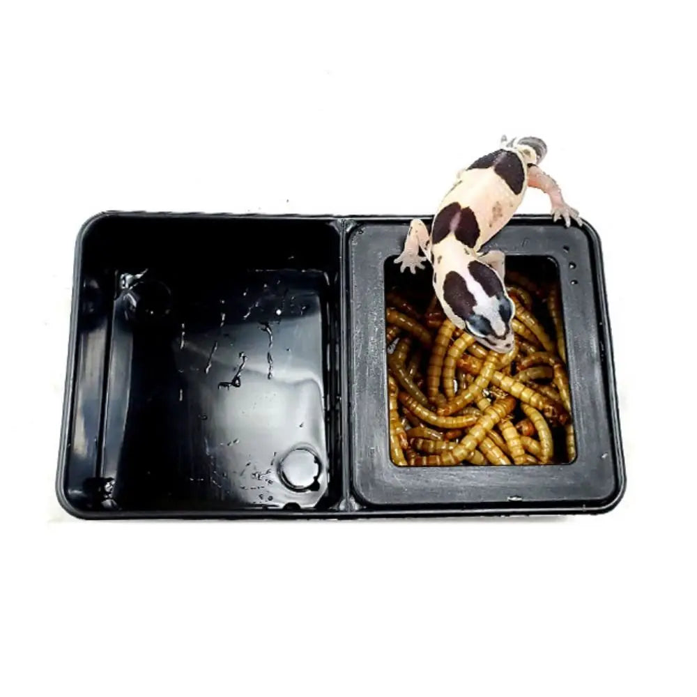 2-in-1 Anti-Escape Reptile Feeding Bowl | Worm & Feeder Dish