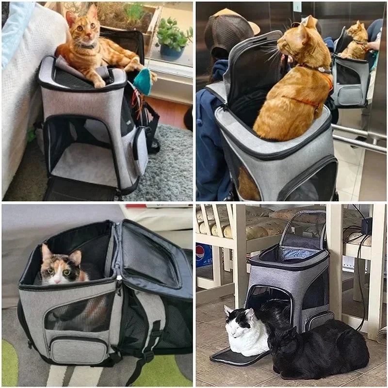 Expandable Pet Carrier Backpack for Cats & Small Dogs