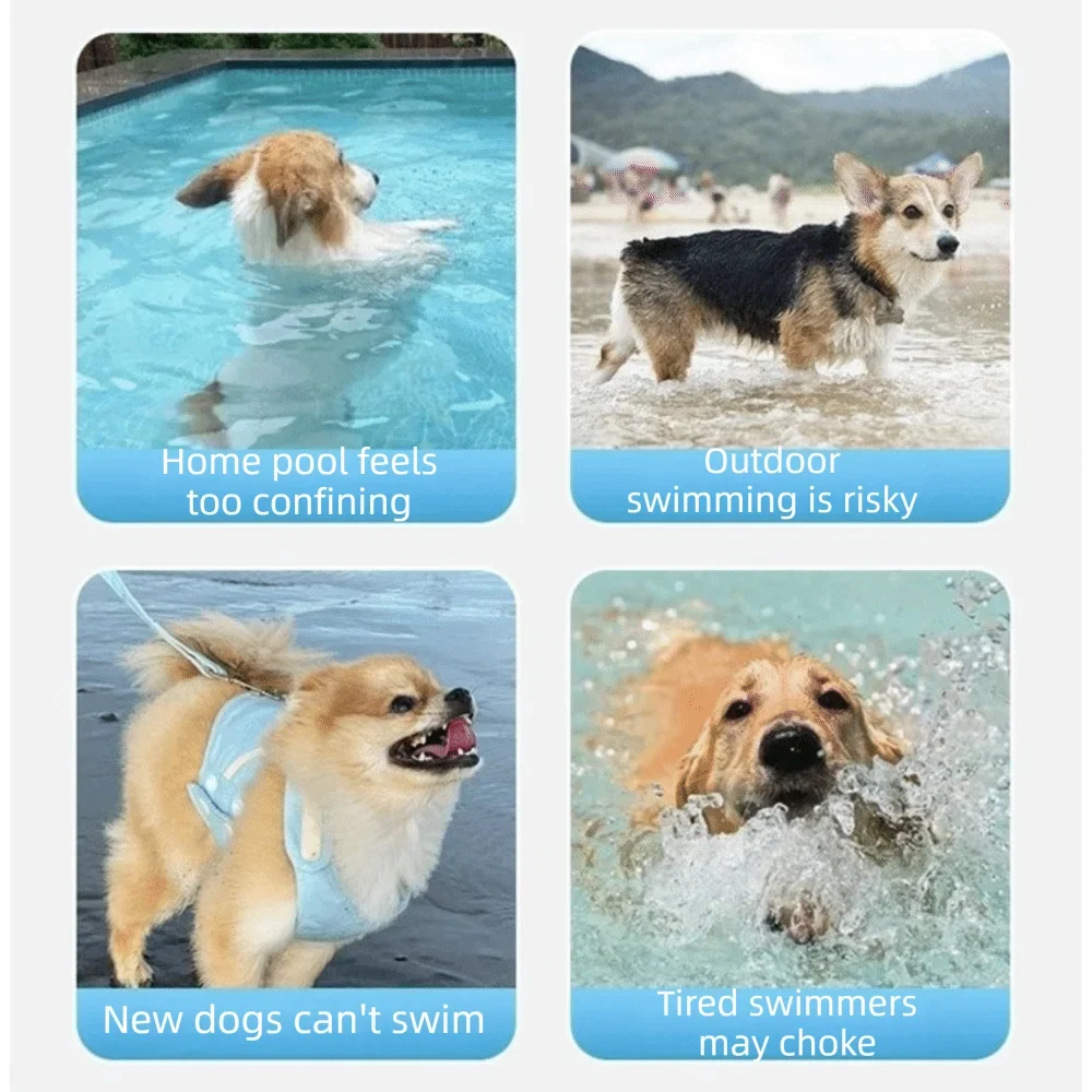 Cartoon Dog Life Jacket – Adjustable Floating Swim Vest XS–XXL