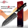 5-Inch Santoku Knife – 67-Layer AUS-10 Damascus Steel Chef Knife