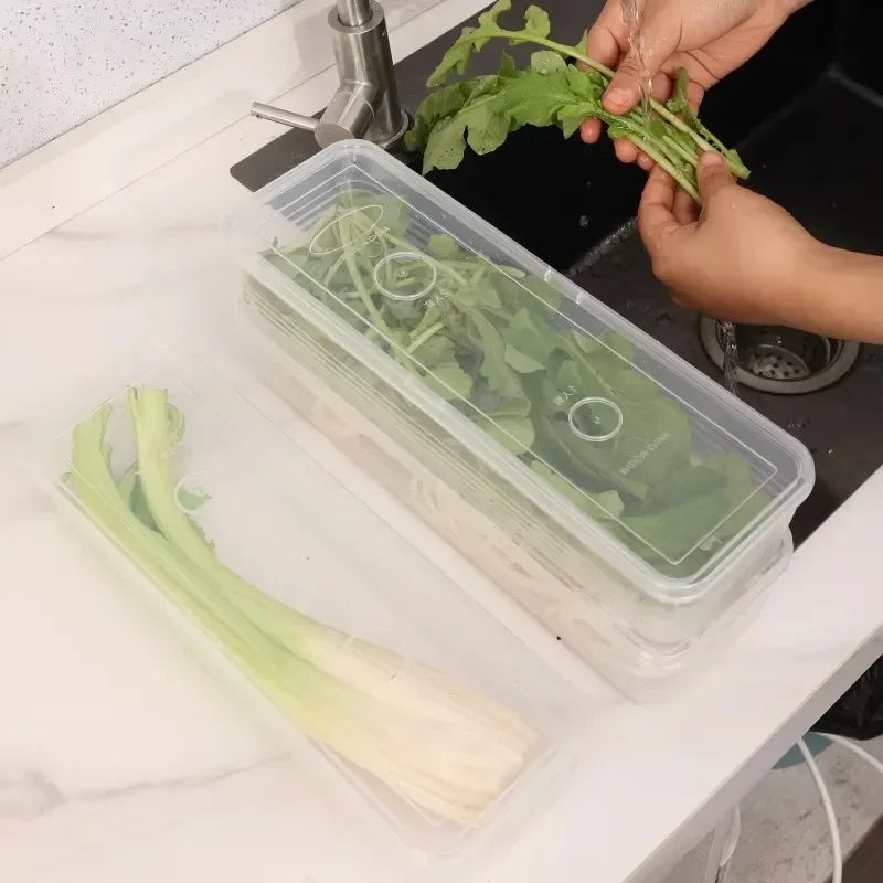 1 Fresh Box Refrigerator Storage Boxes Scallions Food Container