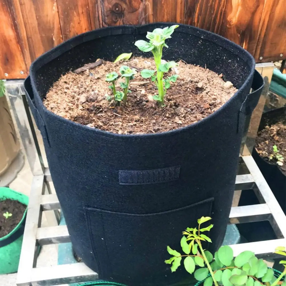 Fabric Potato Grow Bags | Harvest Flap & Handles – 4/7/10 Gal