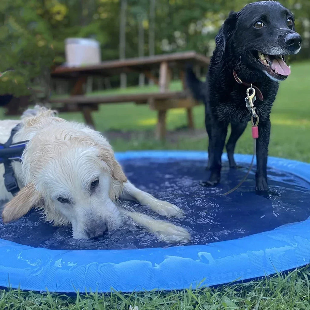 Inflatable Dog Sprinkler Splash Pad – Summer Water Play Mat