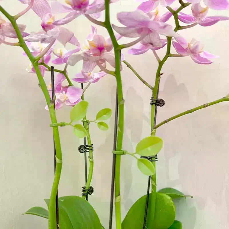 Reusable Leaf Garden Zip Ties – Nylon Plant Support Straps