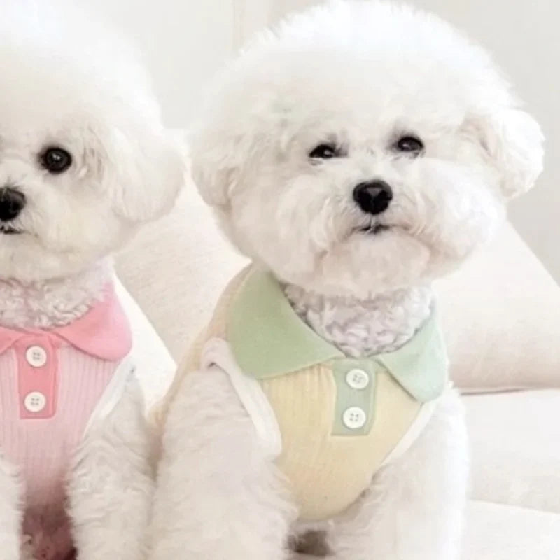 Autumn Pet Dog Polo Shirt Breathable Clothes Fashion Puppy Vest Cute