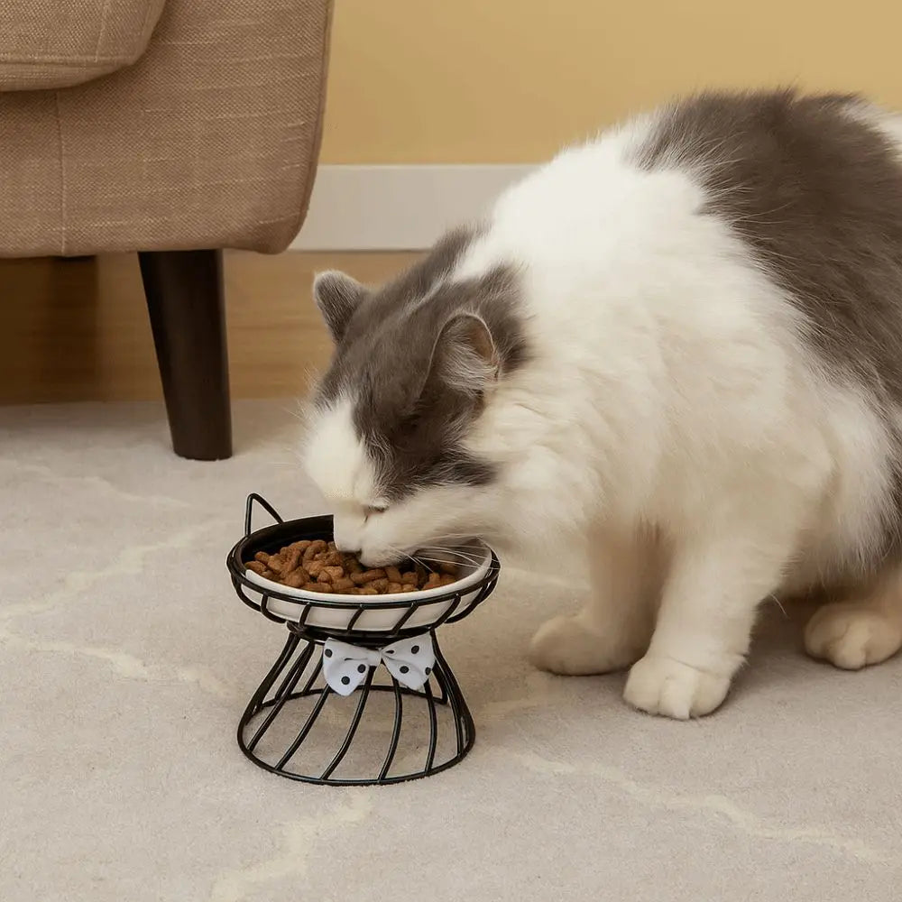 Elevated Ceramic Cat & Dog Bowl with Iron Stand | Non-Slip