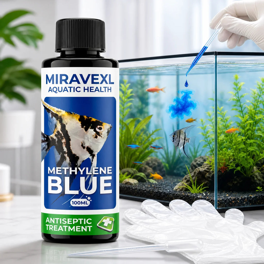 100ml Methylene Blue Aquarium Treatment – Ich, Fungus & Parasites