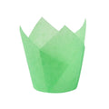 Cupcake Liners Muffin Holders Baking Cups Wrappers Standard Classic