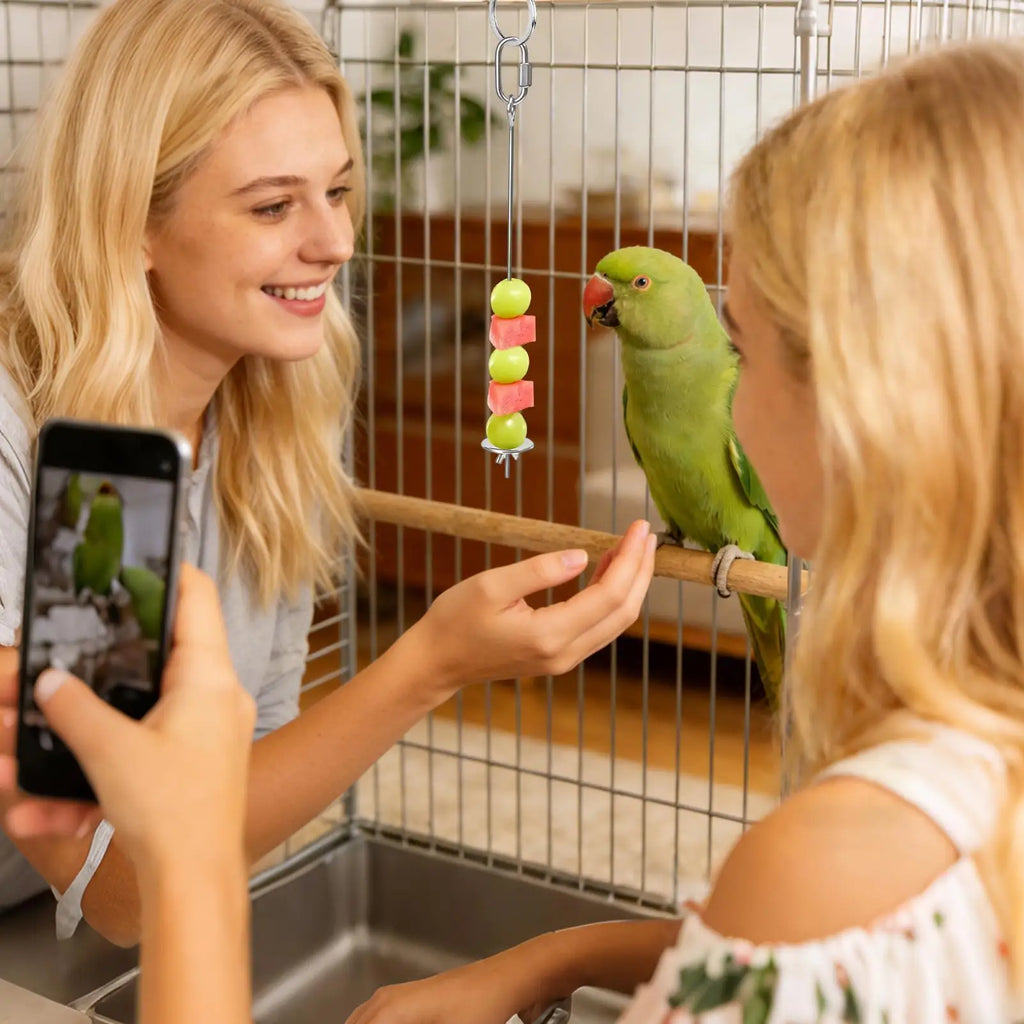 Stainless Steel Bird Cage Food Skewer – Fruit & Veggie Holder
