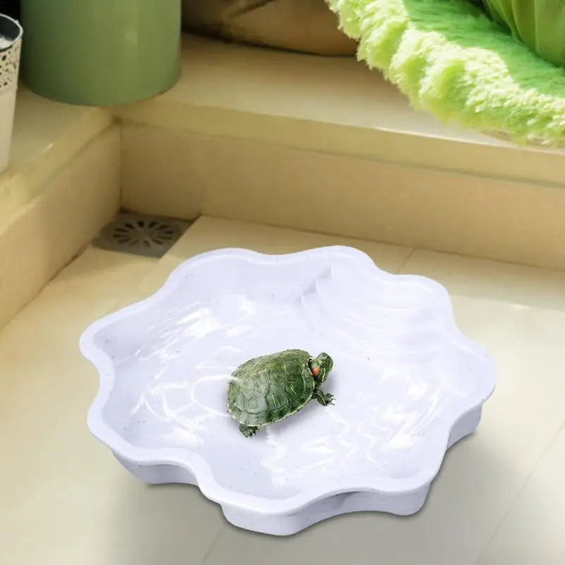 Turtle Pool Large Reptile Bathing Tub Feeding Bowl Lizards Habitat