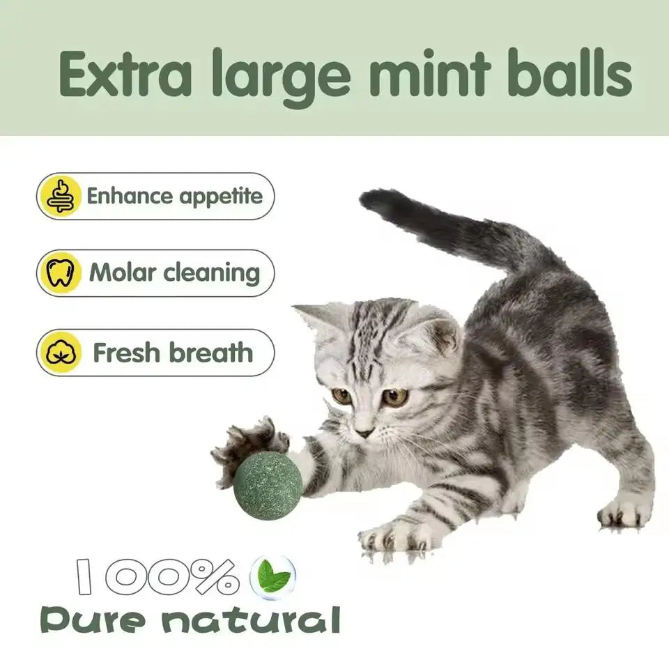 Natural Catnip Ball Toy – Teeth Grinding & Cat Enrichment