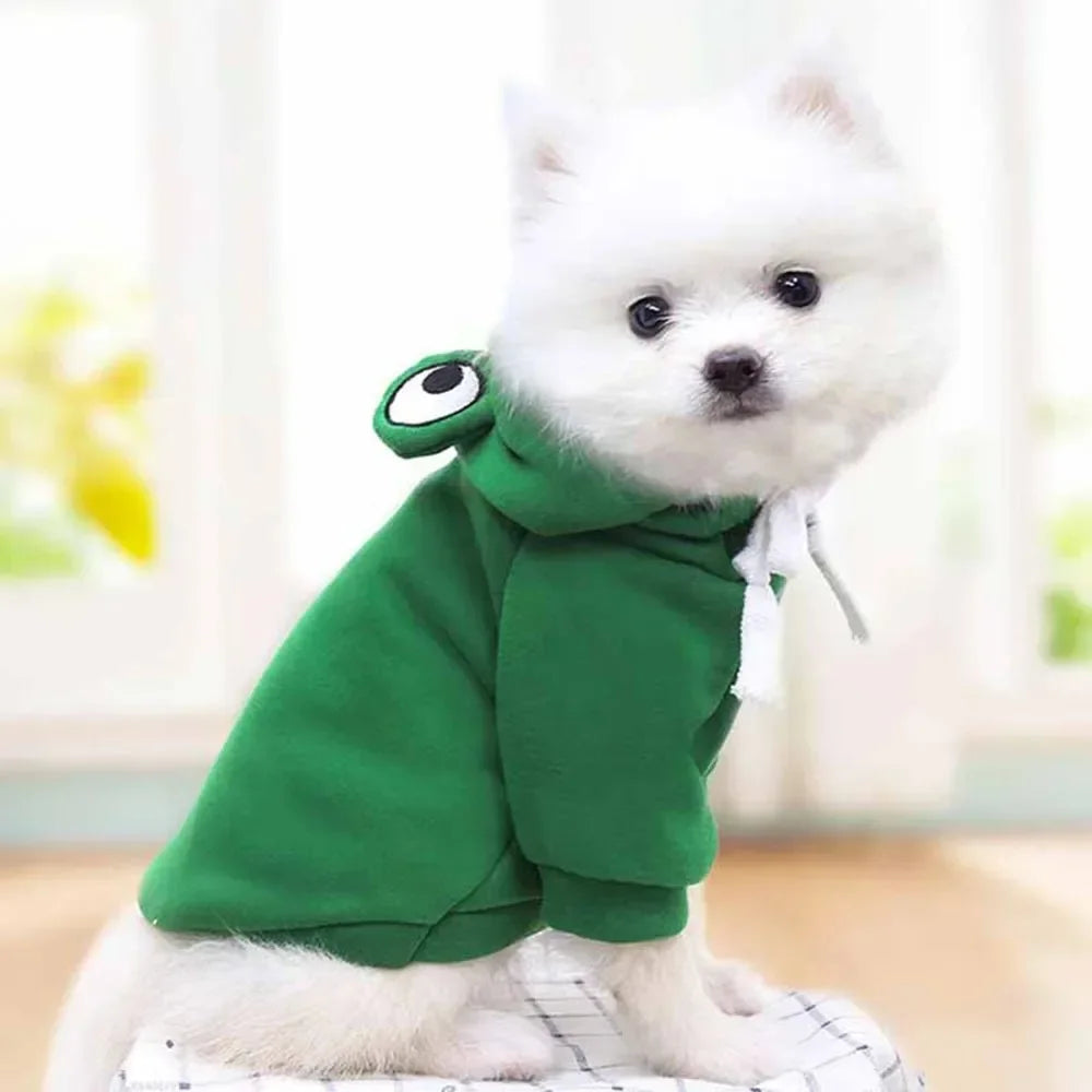Dogs Clothes Luxury Apparels Accessories Apparel Home Dog S Sweater