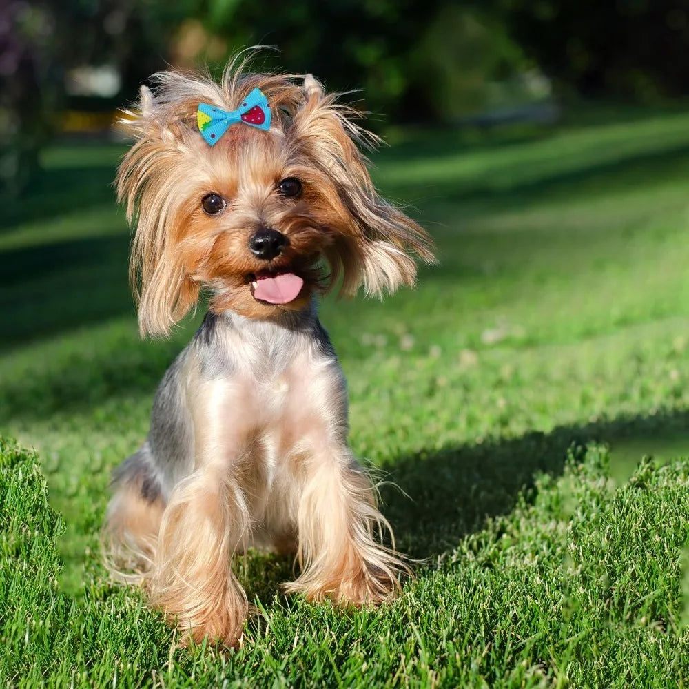 10-Pack Cute Puppy Bow Hair Accessories for Dogs & Cats