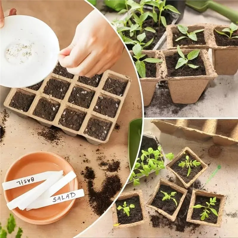 Biodegradable Seedling Trays 20/40 PCS – Eco Seed Starter Pots