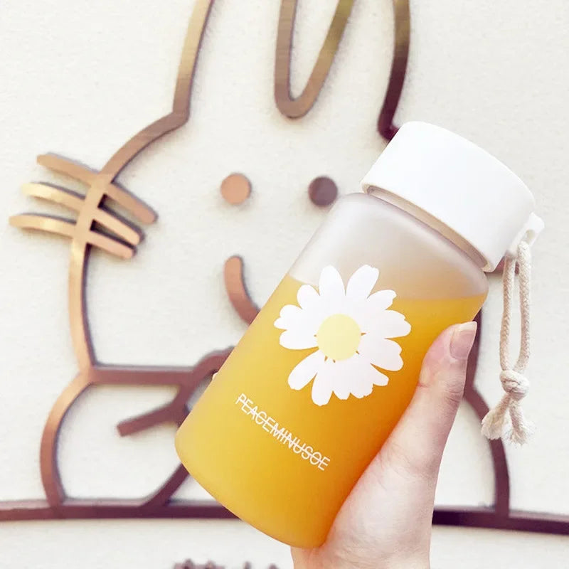 Kawaii Frosted Transparent Water Bottle | Portable Insulated Cup