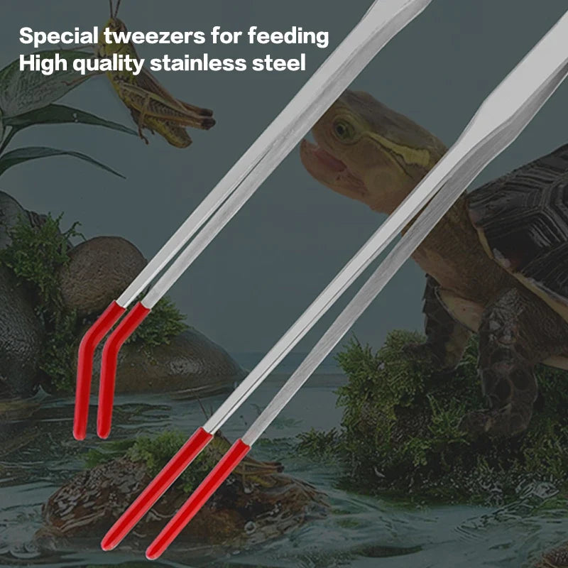 Reptile Feeding Tongs with Rubber Tips – Straight & Curved Tweezers
