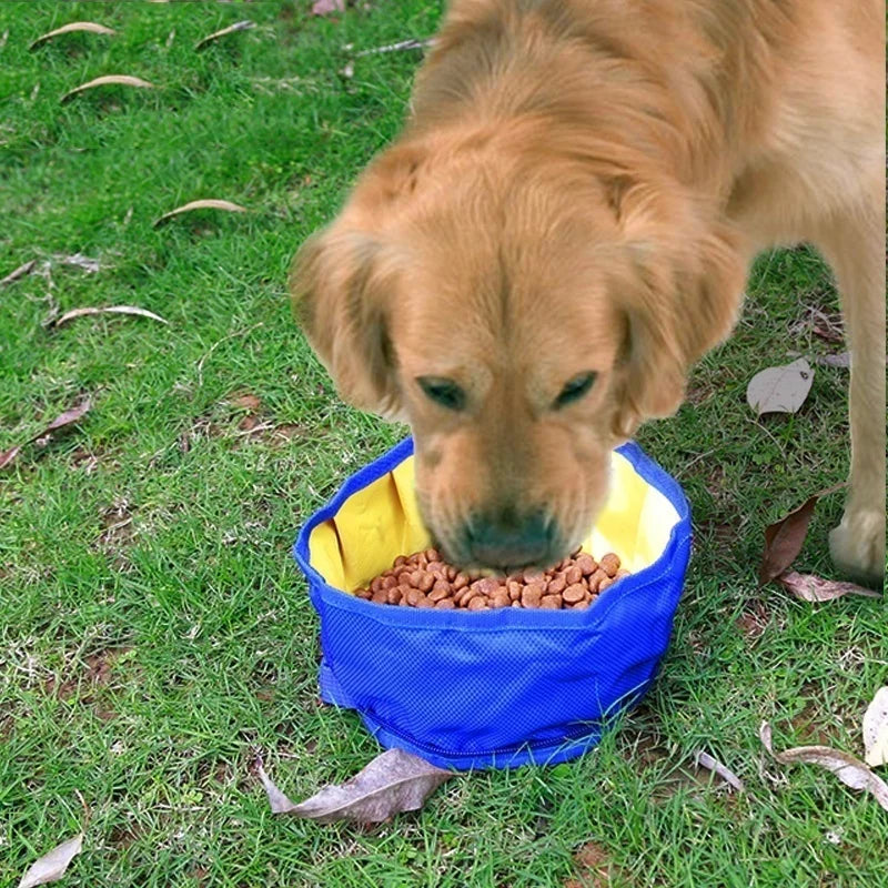 1100ml Foldable Dog Travel Bowl – Portable Collapsible Pet Bowl