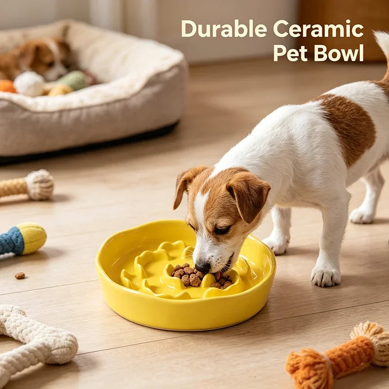 Ceramic Anti-Choking Slow Feeder Cat Bowl | Stable & Safe