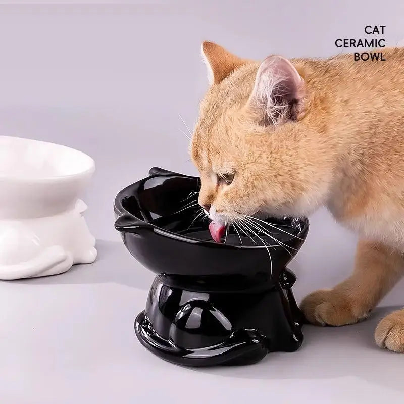 Raised Tilted Anti-Tip Pet Bowl – Cat & Dog Food Water Feeder