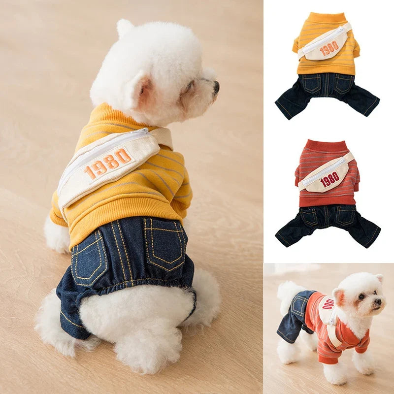 Cute Winter Dog Clothes | Denim & Sweater Outfit XS–XL
