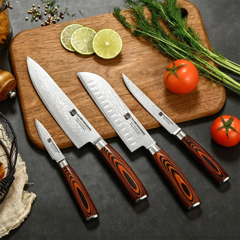 4-Pc 67-Layer Damascus Chef Knife Set – Santoku & Utility