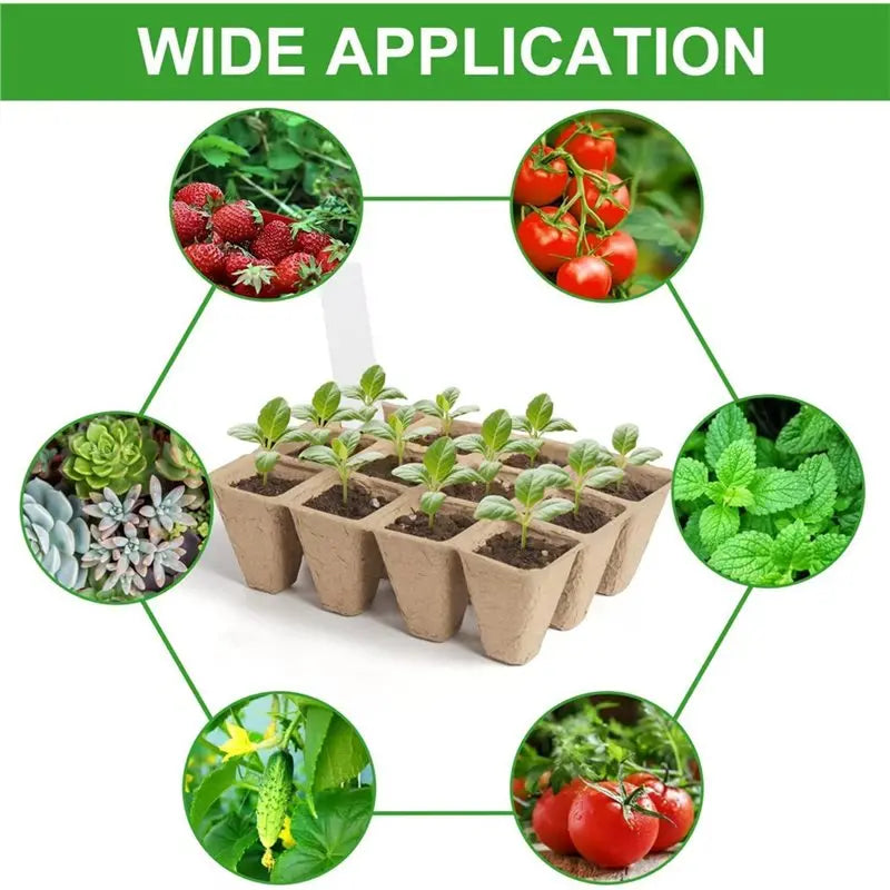 Biodegradable Seedling Trays 20/40 PCS – Eco Seed Starter Pots