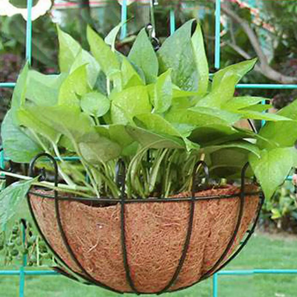 Coconut Basket Liners Coir Plant Liner Fence Flower Baskets Plants