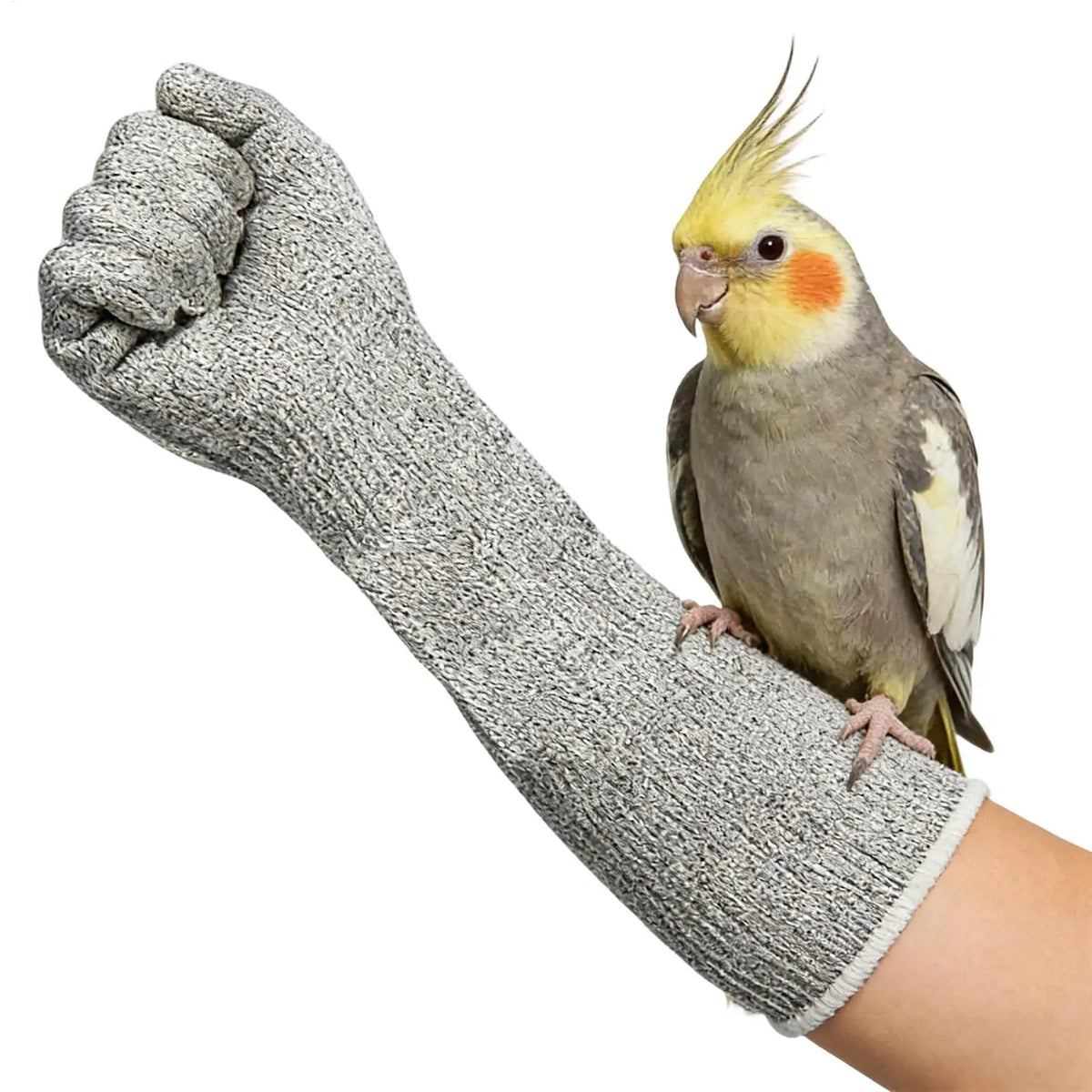 Bite-Proof Pet Handling Gloves | Scratch & Puncture Resistant