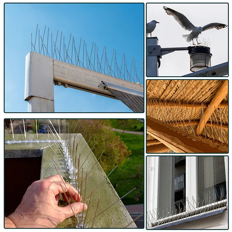 Stainless Steel Balcony Anti-bird Repellent Thorn Nail Pigeon Spikes
